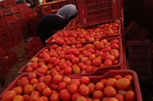 POMEGRANADE